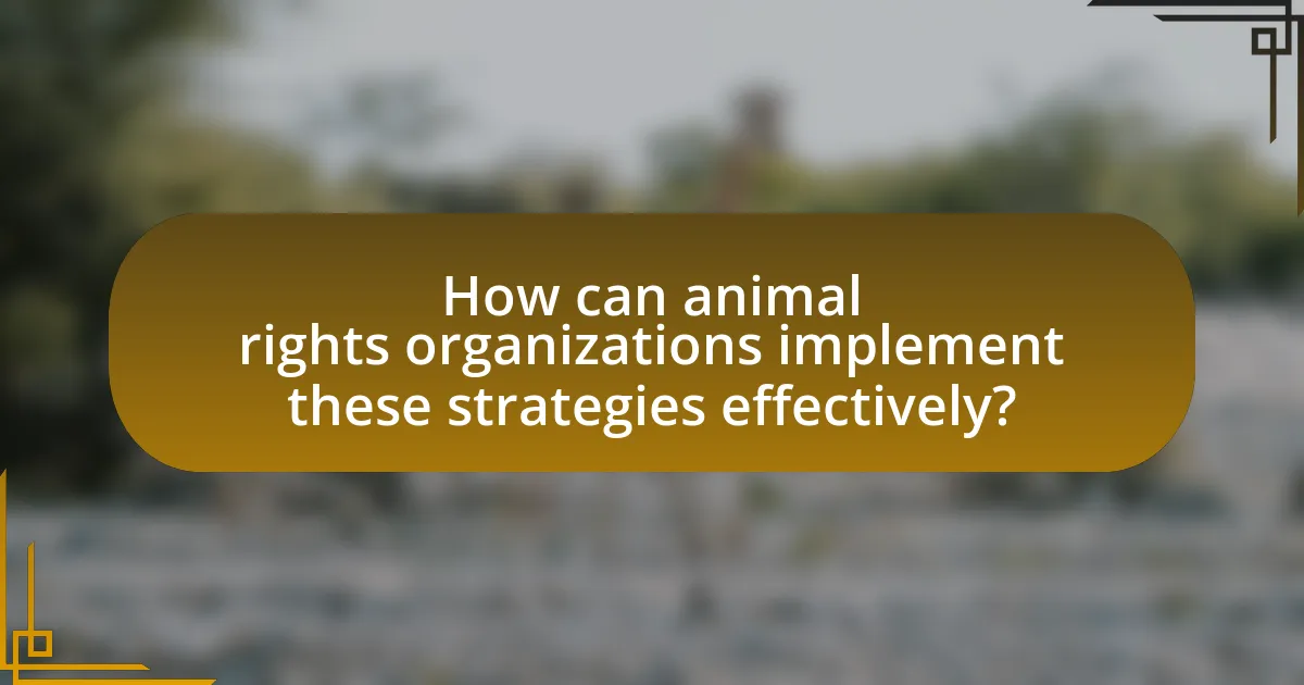 How can animal rights organizations implement these strategies effectively?