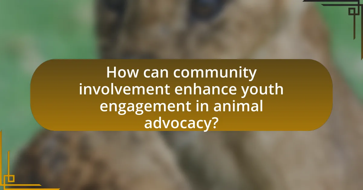 How can community involvement enhance youth engagement in animal advocacy?