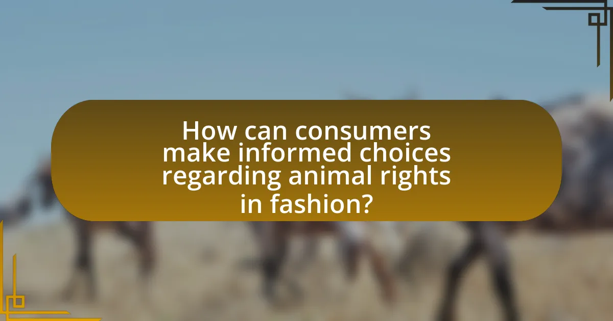 How can consumers make informed choices regarding animal rights in fashion?