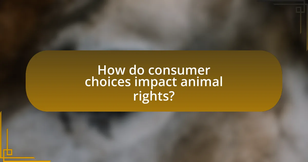 How do consumer choices impact animal rights?