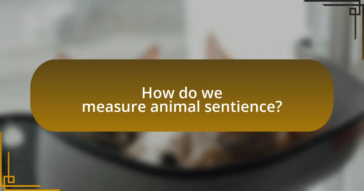 How do we measure animal sentience?