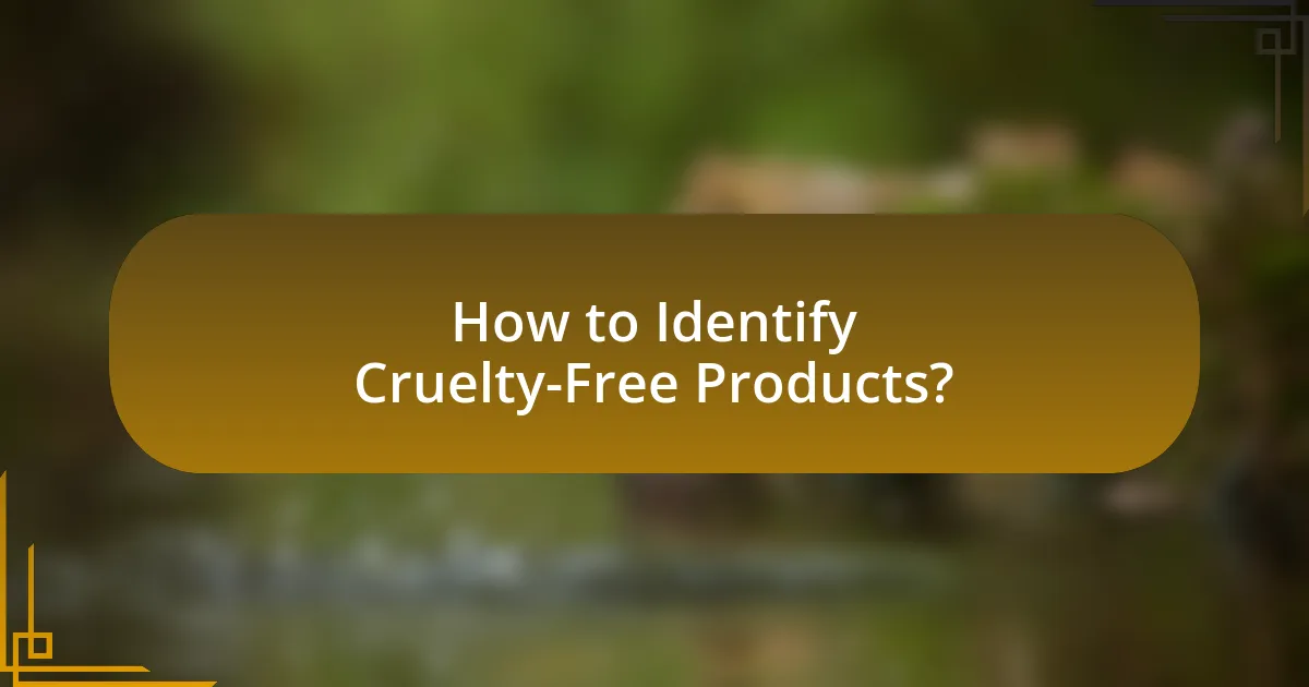 How to Identify Cruelty-Free Products?