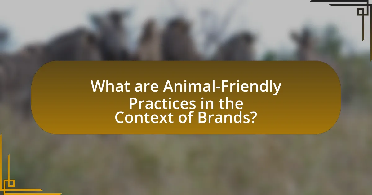 What are Animal-Friendly Practices in the Context of Brands?