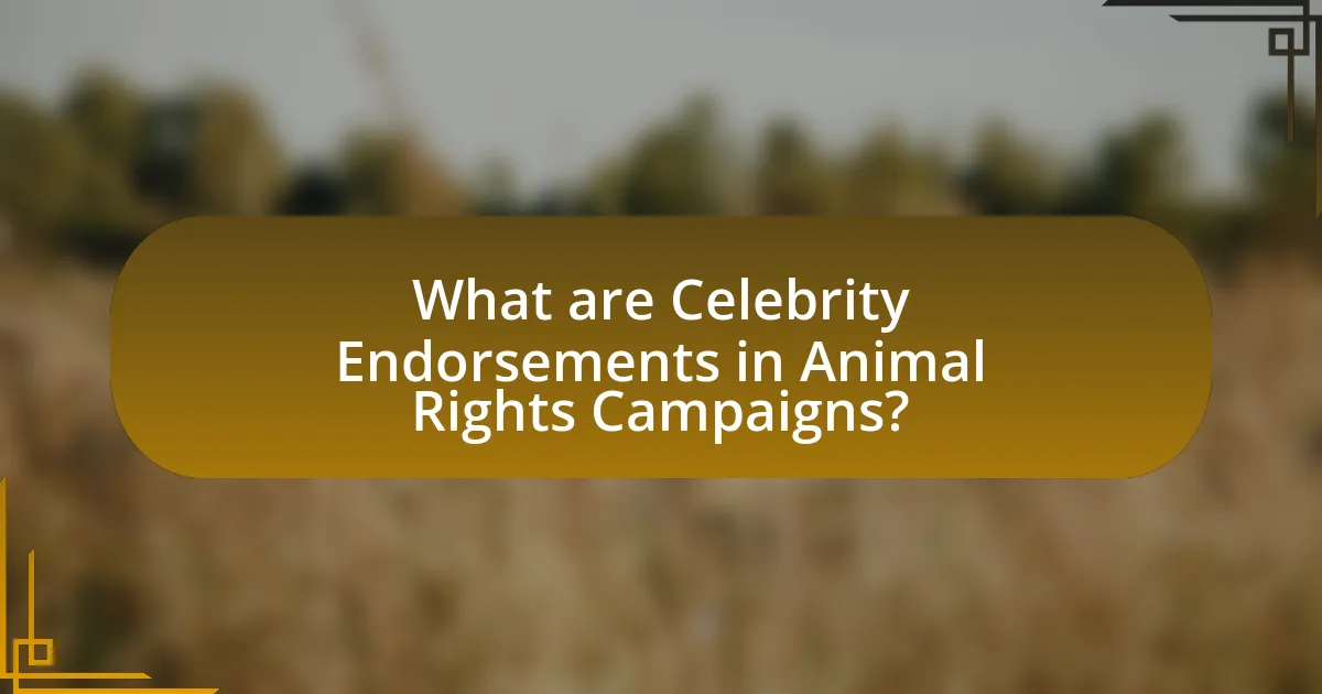 What are Celebrity Endorsements in Animal Rights Campaigns?