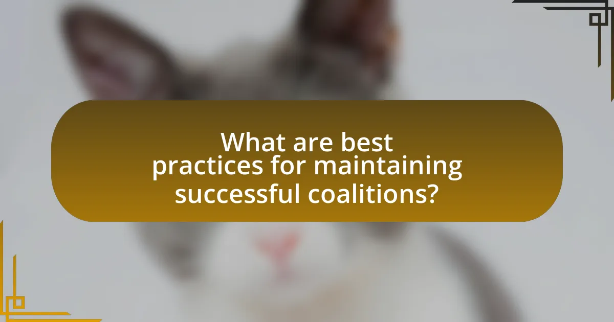 What are best practices for maintaining successful coalitions?
