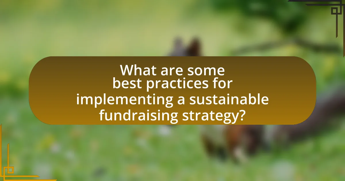 What are some best practices for implementing a sustainable fundraising strategy?