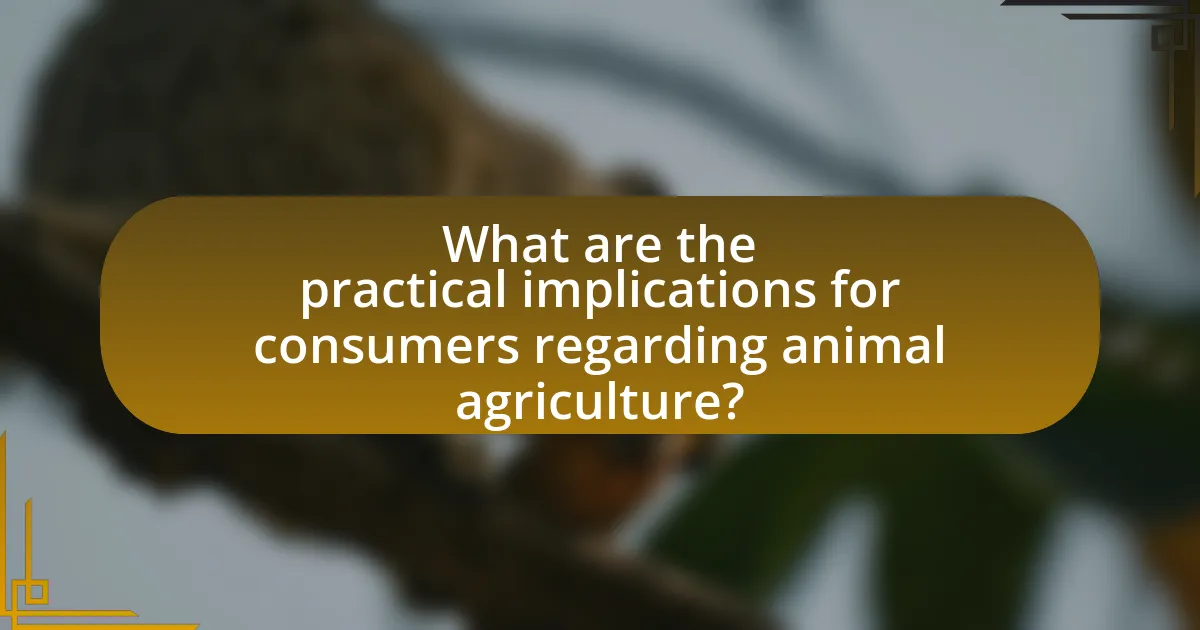 What are the practical implications for consumers regarding animal agriculture?