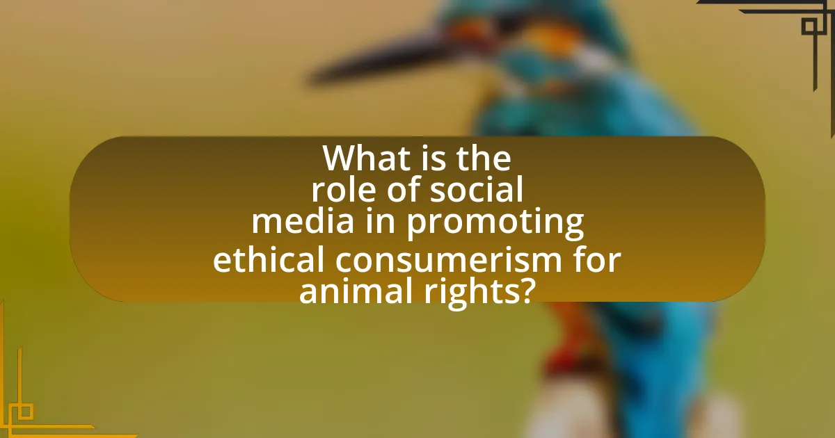 What is the role of social media in promoting ethical consumerism for animal rights?