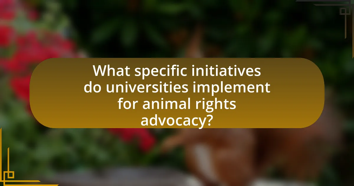 What specific initiatives do universities implement for animal rights advocacy?