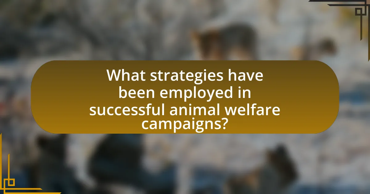 What strategies have been employed in successful animal welfare campaigns?